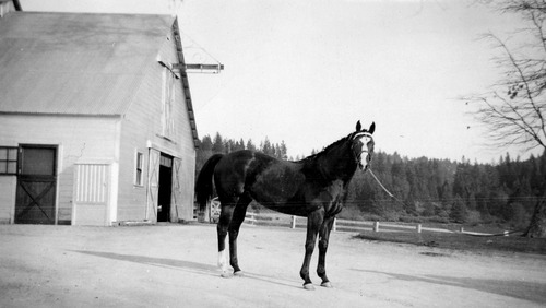 Click to see PIC 6-LOM 13 of Loma Rica Ranch (PIC 6-LOM)