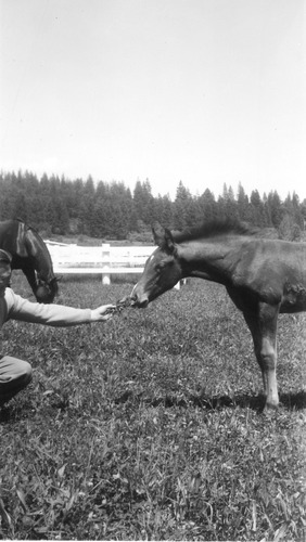Click to see PIC 6-LOM 16 of Loma Rica Ranch (PIC 6-LOM)