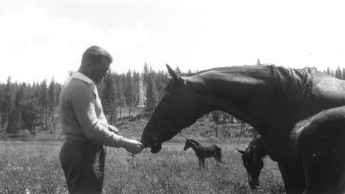 Click to see PIC 6-LOM 18 of Loma Rica Ranch (PIC 6-LOM)