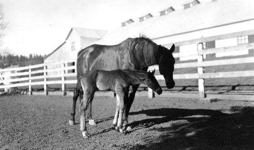 Click to see PIC 6-LOM 20 of Loma Rica Ranch (PIC 6-LOM)