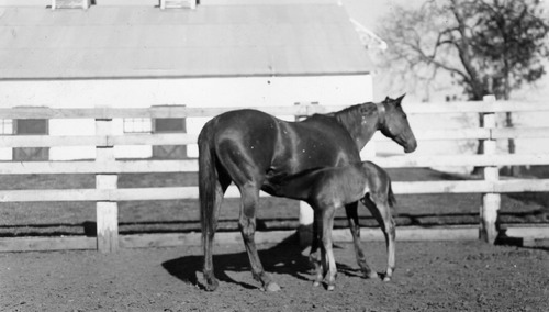 Click to see PIC 6-LOM 21 of Loma Rica Ranch (PIC 6-LOM)