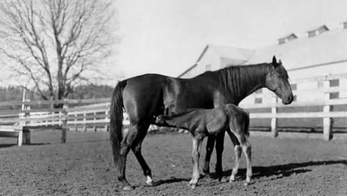 Click to see PIC 6-LOM 22 of Loma Rica Ranch (PIC 6-LOM)