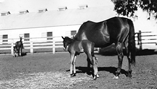 Click to see PIC 6-LOM 24 of Loma Rica Ranch (PIC 6-LOM)