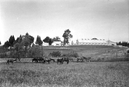 Click to see PIC 6-LOM 32 of Loma Rica Ranch (PIC 6-LOM)