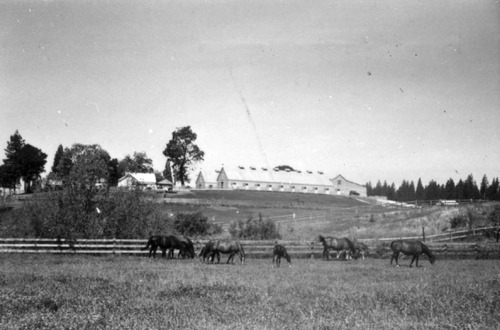 Click to see PIC 6-LOM 33 of Loma Rica Ranch (PIC 6-LOM)
