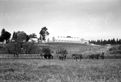 Click to see PIC 6-LOM 34 of Loma Rica Ranch (PIC 6-LOM)