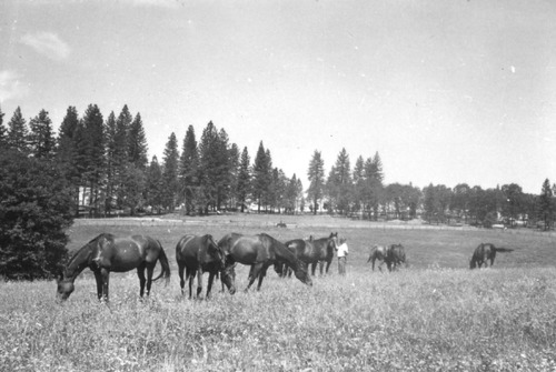 Click to see PIC 6-LOM 35 of Loma Rica Ranch (PIC 6-LOM)