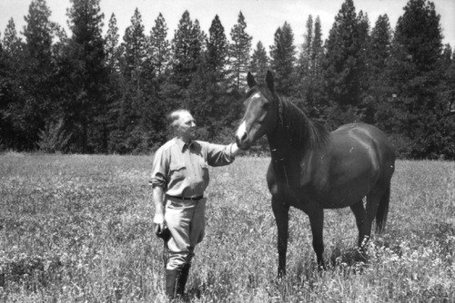 Click to see PIC 6-LOM 36 of Loma Rica Ranch (PIC 6-LOM)