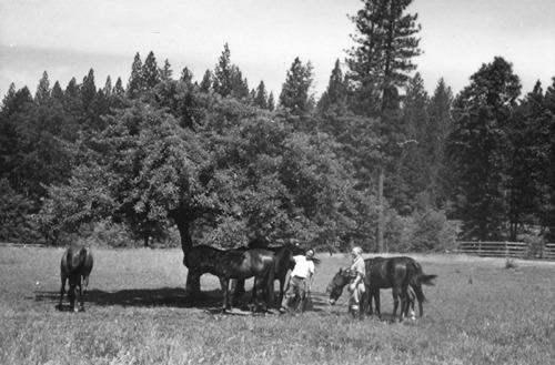 Click to see PIC 6-LOM 38 of Loma Rica Ranch (PIC 6-LOM)