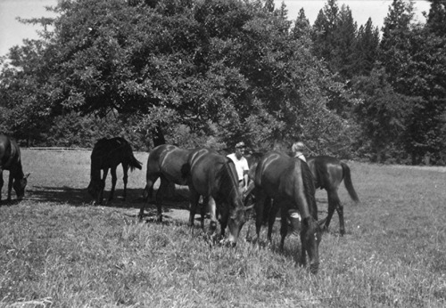 Click to see PIC 6-LOM 39 of Loma Rica Ranch (PIC 6-LOM)