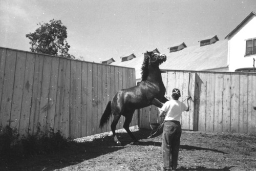 Click to see PIC 6-LOM 40A of Loma Rica Ranch (PIC 6-LOM)