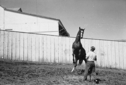Click to see PIC 6-LOM 40B of Loma Rica Ranch (PIC 6-LOM)