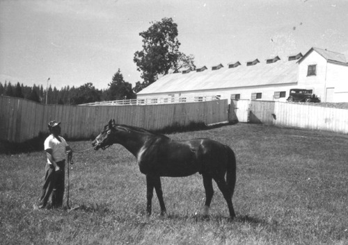 Click to see PIC 6-LOM 41 of Loma Rica Ranch (PIC 6-LOM)