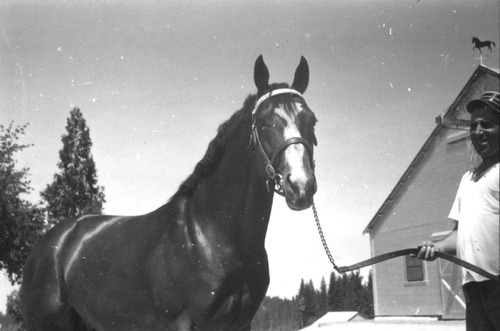 Click to see PIC 6-LOM 42 of Loma Rica Ranch (PIC 6-LOM)