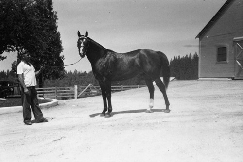 Click to see PIC 6-LOM 43 of Loma Rica Ranch (PIC 6-LOM)