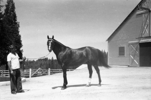 Click to see PIC 6-LOM 44 of Loma Rica Ranch (PIC 6-LOM)