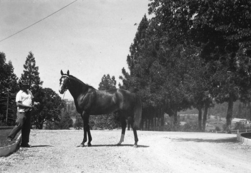 Click to see PIC 6-LOM 47 of Loma Rica Ranch (PIC 6-LOM)