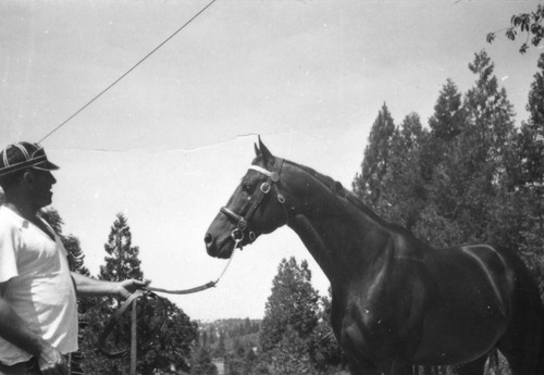 Click to see PIC 6-LOM 48 of Loma Rica Ranch (PIC 6-LOM)