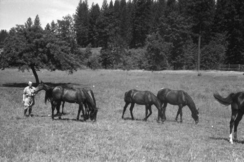 Click to see PIC 6-LOM 49 of Loma Rica Ranch (PIC 6-LOM)