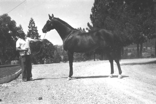 Click to see PIC 6-LOM 54 of Loma Rica Ranch (PIC 6-LOM)