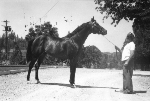 Click to see PIC 6-LOM 55 of Loma Rica Ranch (PIC 6-LOM)