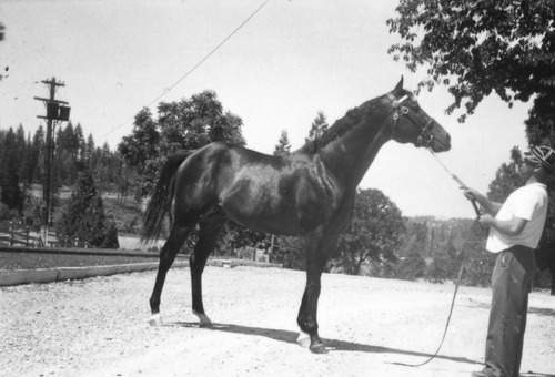 Click to see PIC 6-LOM 56 of Loma Rica Ranch (PIC 6-LOM)
