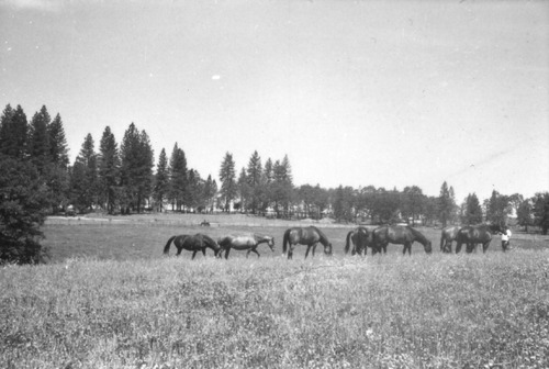Click to see PIC 6-LOM 58 of Loma Rica Ranch (PIC 6-LOM)