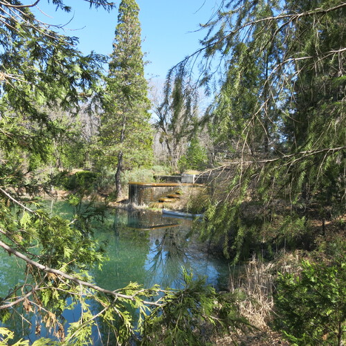 Click to see PIC 6-LOM 61 of Loma Rica Ranch (PIC 6-LOM)