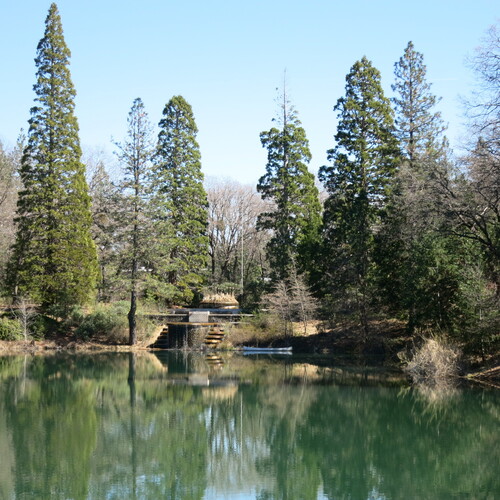 Click to see PIC 6-LOM 65 of Loma Rica Ranch (PIC 6-LOM)