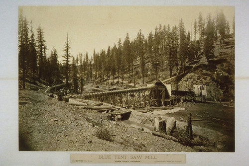 Click to see PIC 6-MAH 70 of Mahaffey Family album (PIC 6-MAH)
