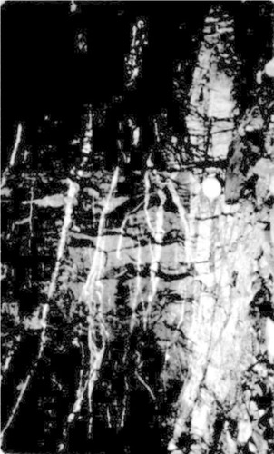 Click to see PIC 6-MNG.MUS. 13 of From the Mining Museum (PIC 6-MNG.MUS.)