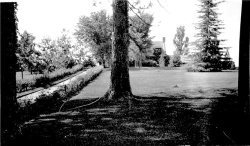 Click to see PIC 6-MNG.MUS. 85 of From the Mining Museum (PIC 6-MNG.MUS.)