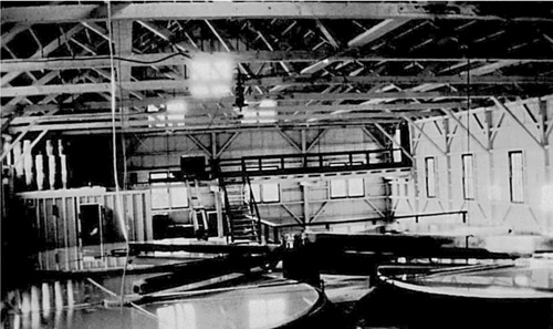 Click to see PIC 6-MNG.MUS. 92 of From the Mining Museum (PIC 6-MNG.MUS.)
