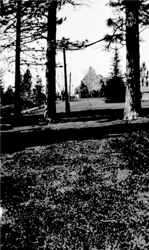 Click to see PIC 6-MNG.MUS. 109 of From the Mining Museum (PIC 6-MNG.MUS.)