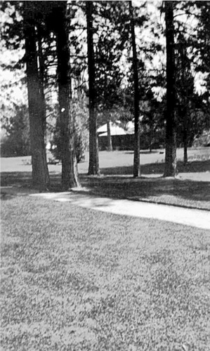Click to see PIC 6-MNG.MUS. 129 of From the Mining Museum (PIC 6-MNG.MUS.)