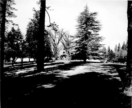 Click to see PIC 6-MNG.MUS. 156 of From the Mining Museum (PIC 6-MNG.MUS.)