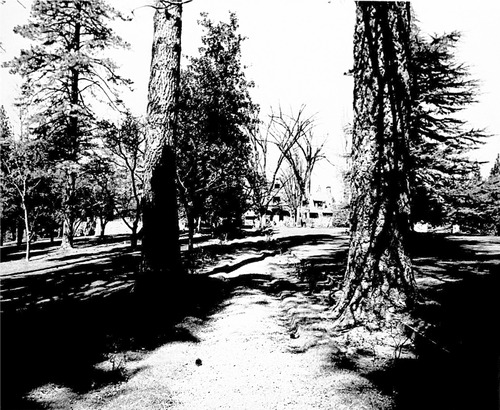 Click to see PIC 6-MNG.MUS. 158 of From the Mining Museum (PIC 6-MNG.MUS.)