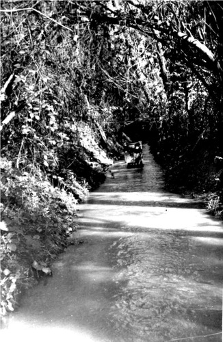 Click to see PIC 6-MNG.MUS. 197 of From the Mining Museum (PIC 6-MNG.MUS.)