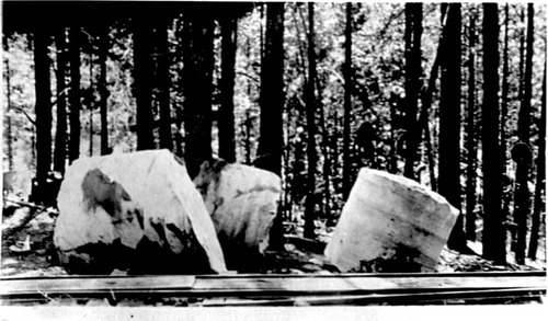 Click to see PIC 6-MNG.MUS. 220 of From the Mining Museum (PIC 6-MNG.MUS.)