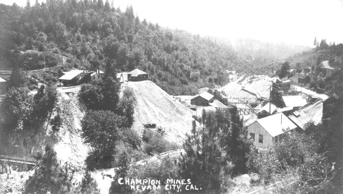 Click to view Moore Collection (PIC 6-MOORE) Moore Collection (PIC 6-MOORE)