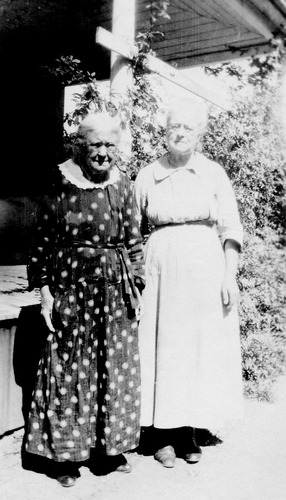 Click to see PIC 6-NET 23 of Nettell Family (PIC 6-NET)