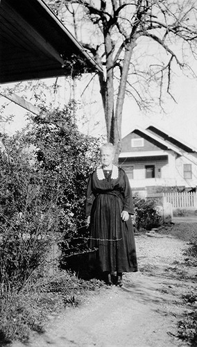 Click to see PIC 6-NET 36 of Nettell Family (PIC 6-NET)