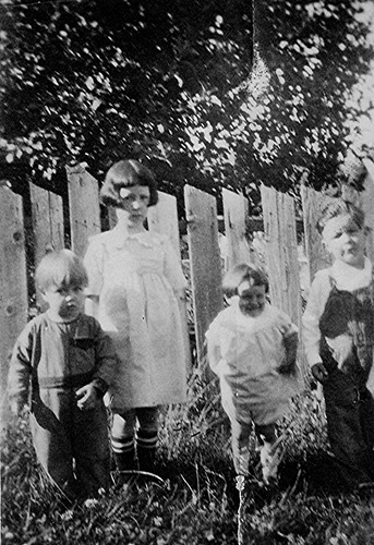 Click to see PIC 6-NET 50 of Nettell Family (PIC 6-NET)