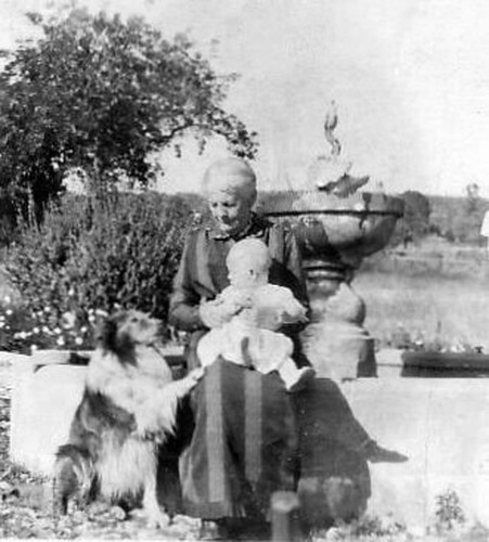 Click to see PIC 6-NOELL 8 of Noell family (PIC 6-NOELL)