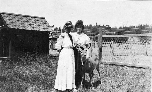 Click to see PIC 6-NOELL 19 of Noell family (PIC 6-NOELL)