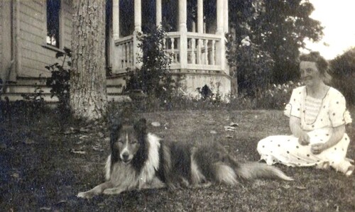 Click to see PIC 6-NOELL 21 of Noell family (PIC 6-NOELL)