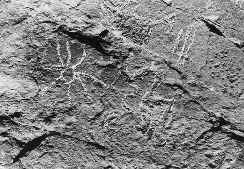Click to view Petroglyphs (PIC 6-PET) Petroglyphs (PIC 6-PET)