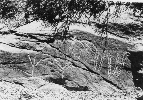 Click to see PIC 6-PET 2 of Petroglyphs (PIC 6-PET)