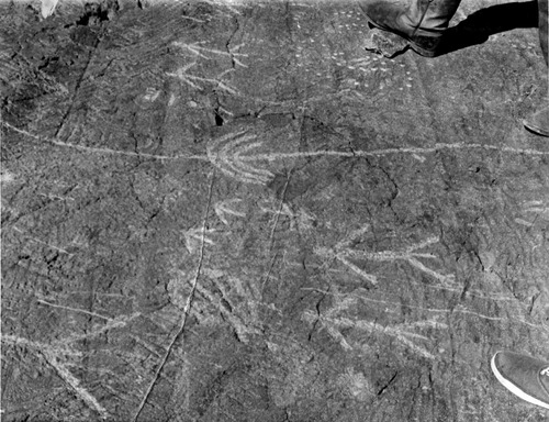 Click to see PIC 6-PET 5 of Petroglyphs (PIC 6-PET)