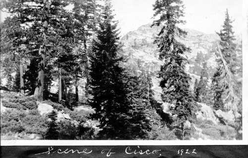 Click to see PIC 6-RUCK 22 of Edna Ruck photo Collection (PIC 6-RUCK)